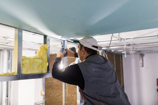 Best Insulation for Specific Applications in North Merritt Island, FL