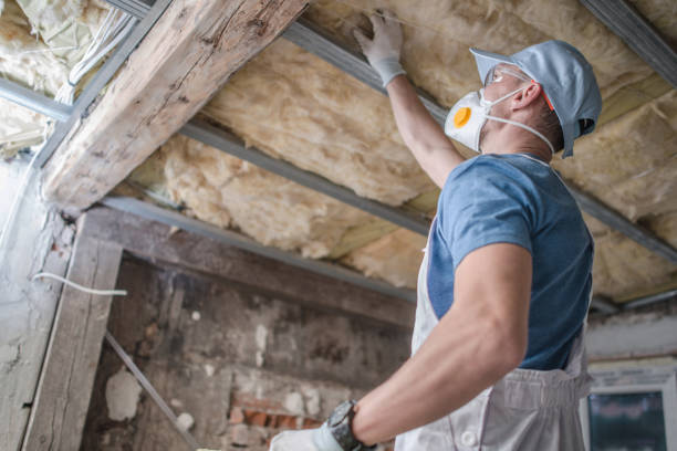 Best Insulation Materials and Products in North Merritt Island, FL